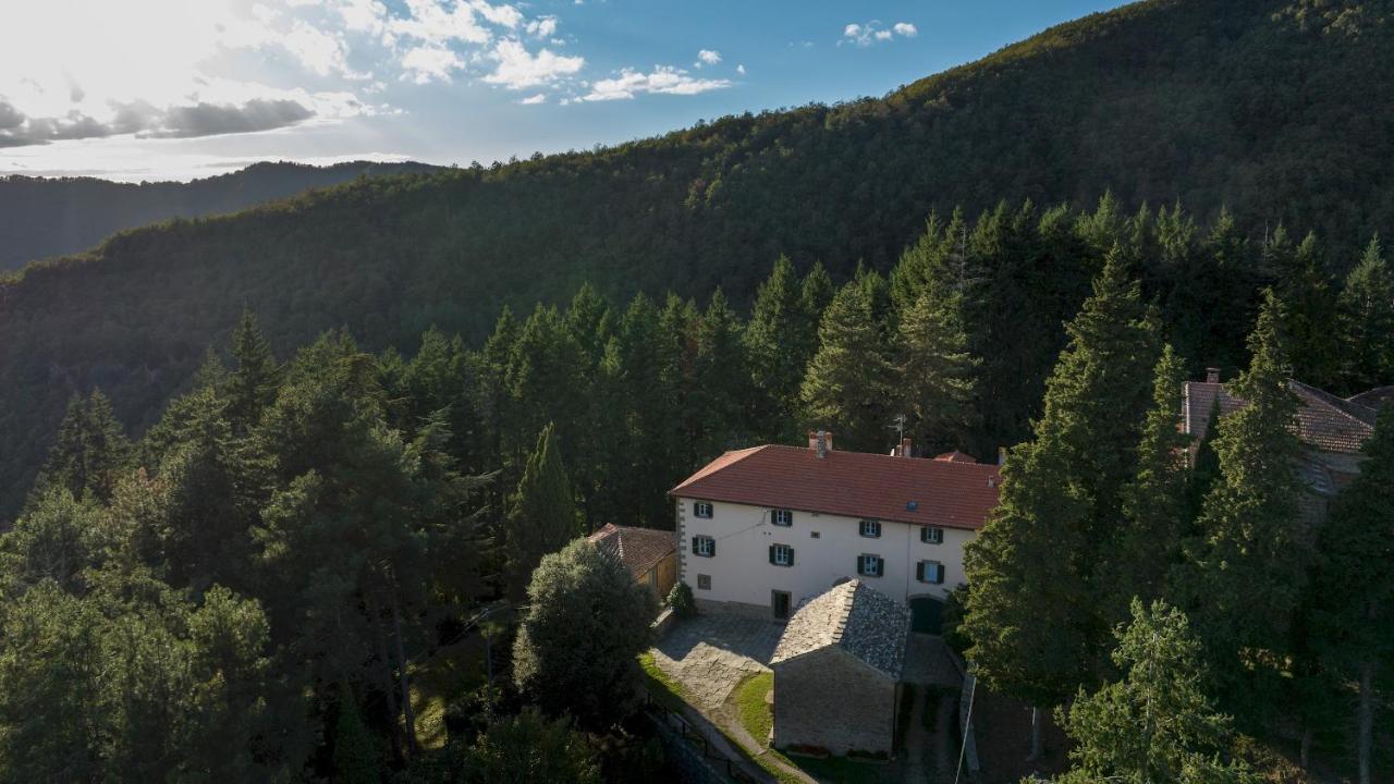 Villa La Rassinata 12, Emma Villas Arezzo Eksteriør billede